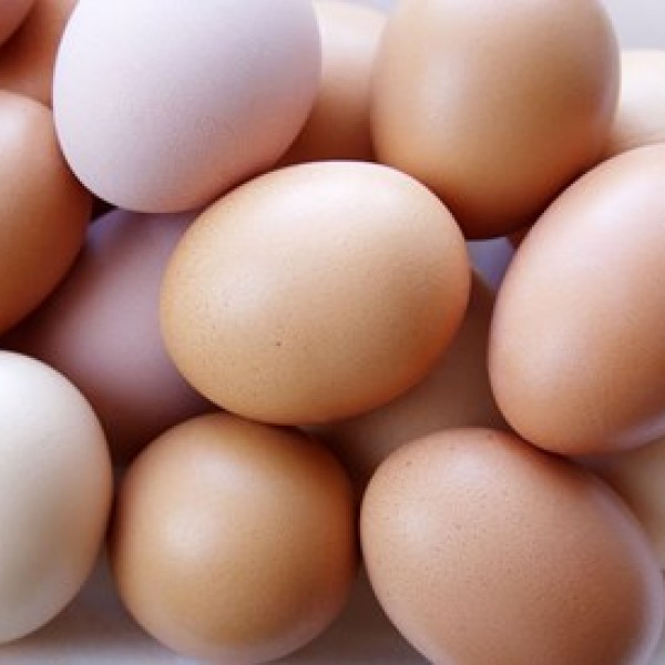 Free Range Cornish Eggs